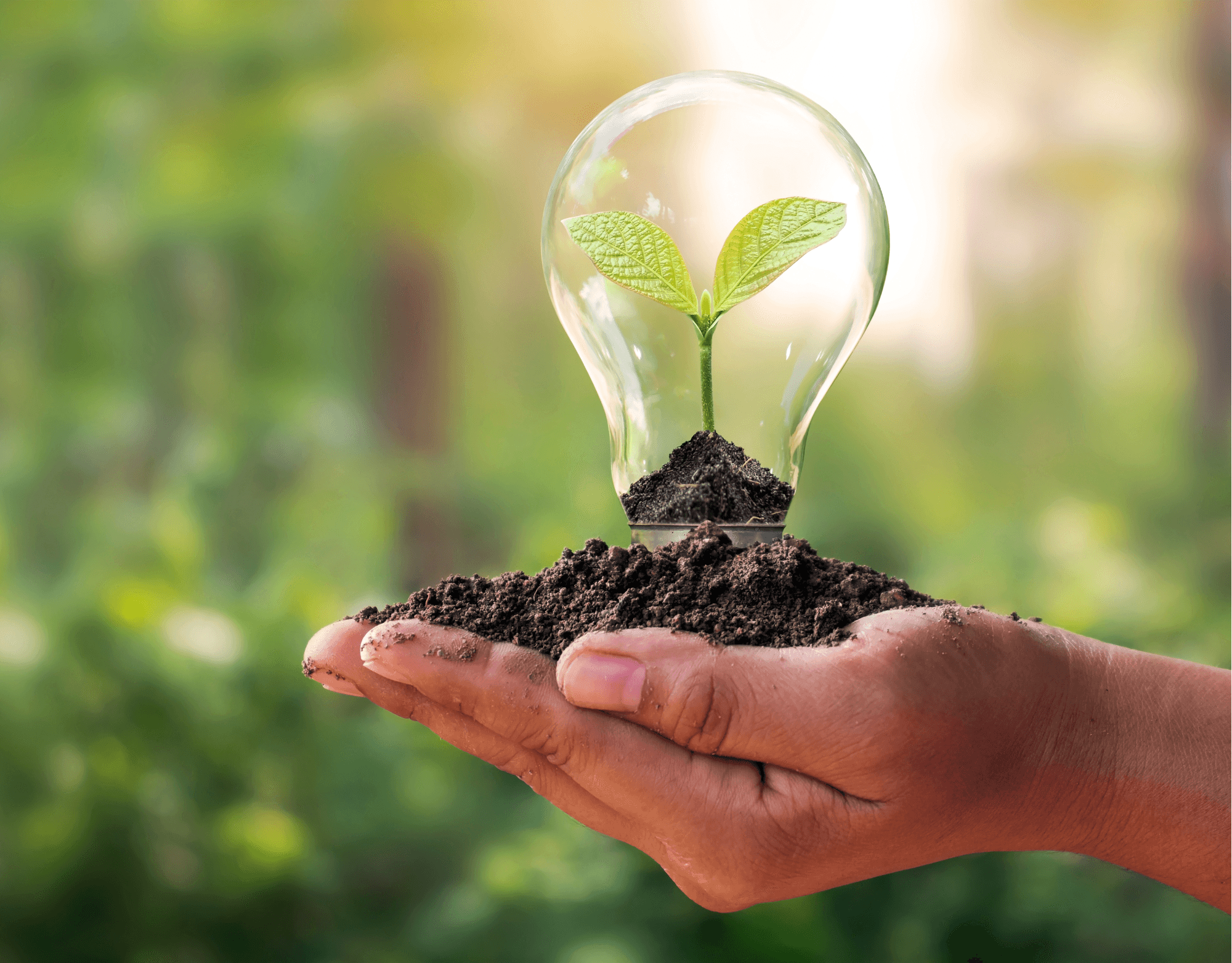 Building a Greener Future: The Information Lab’s Commitment to ...